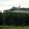 Glyphosate spraying on Nova Scotia forests continues