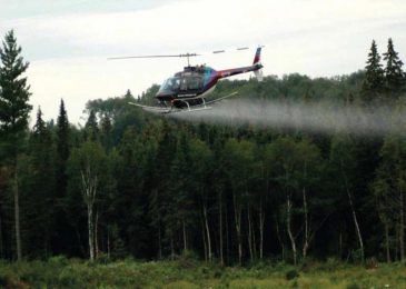 Glyphosate spraying on Nova Scotia forests continues