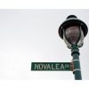 ‘Novalea IS Gottingen, plain and simple.’ How a rigged survey triggered a name change and humiliated a community