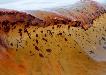 Making it go away: oil spills, corexit and Nova Scotia’s offshore