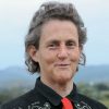 Open letter: Temple Grandin should not be invited to speak at the Atlantic Abilities Conference