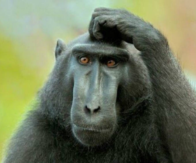 Head scratcher Unpublished policies, and regulations that don’t mean