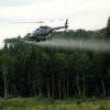 Glyphosate spraying resumes in Nova Scotia forests