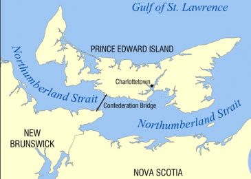 Letter: You can’t take the milk out of the tea – Northern Pulp’s proposal to dump treated waste into the Northumberland Strait