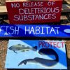 Media release: Activists reveal Alton Gas proposal would violate Fisheries Act