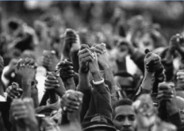 PSA: Black Lives Matter Solidarity Fund NS