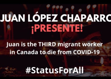 Media Release: Calls for permanent resident status intensify as third migrant farmworker dies of COVID-19 in Ontario