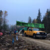 News brief: Mainland moose habitat in Digby County occupied to protect it from clearcutting