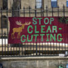 Calls for clearcutting moratorium grow in urgency as hunger strike enters day 9